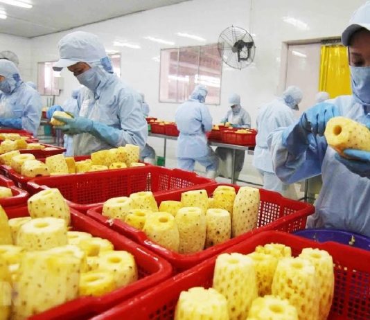 Ngành chế biến, chế tạo – “đầu tàu” tăng trưởng kinh tế