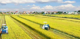 Cơ chế thử nghiệm linh hoạt: Đòn bẩy đổi mới trong nông nghiệp hiện đại