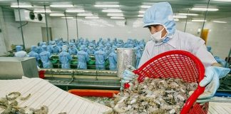 Cơ hội mới cho thủy sản Việt Nam