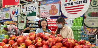 Doanh nghiệp Việt tìm cách thích ứng với thuế đối ứng của Mỹ