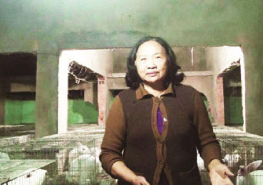 Nữ doanh nhân Thái Nguyên làm giàu từ mô hình nuôi thỏ