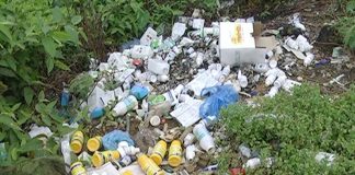 Giảm lệ thuộc hóa chất, bước chuyển tất yếu của nền nông nghiệp hiện đại