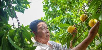 Kênh tiêu thụ mới cho nông sản và đặc sản địa phương