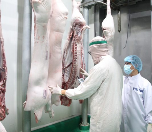 26 cơ sở thịt heo tại Gia Lai được chứng nhận an toàn