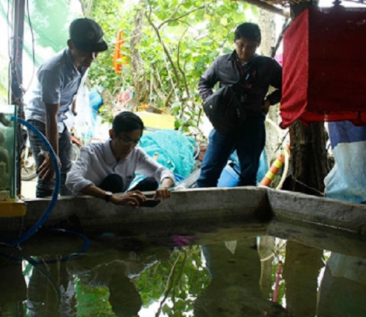 Làm giàu khác người: Phất lên nhờ nuôi cá cảnh nước mặn