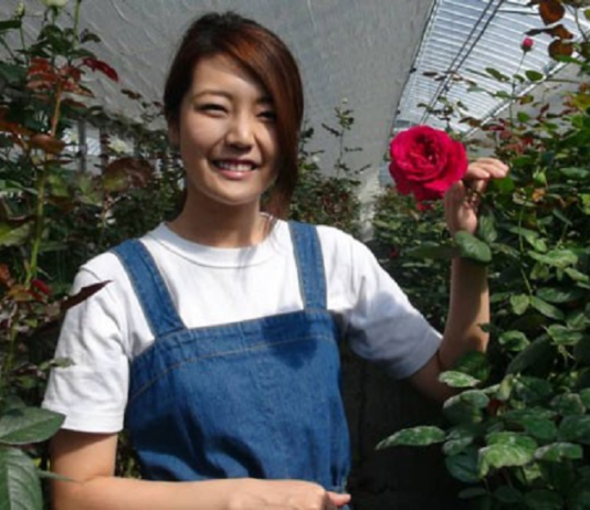 Làm giàu từ hoa hồng organic