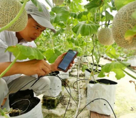 Chuyển đổi số có đang đè nặng doanh nghiệp nhỏ