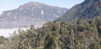 Thôn vùng cao ở Lào Cai, trước chìm trong hoa anh túc nay trồng lúa, ngô, cây ăn quả mà giảm nghèo làm giàu