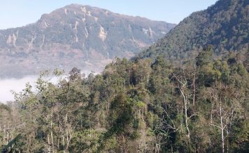 Thôn vùng cao ở Lào Cai, trước chìm trong hoa anh túc nay trồng lúa, ngô, cây ăn quả mà giảm nghèo làm giàu