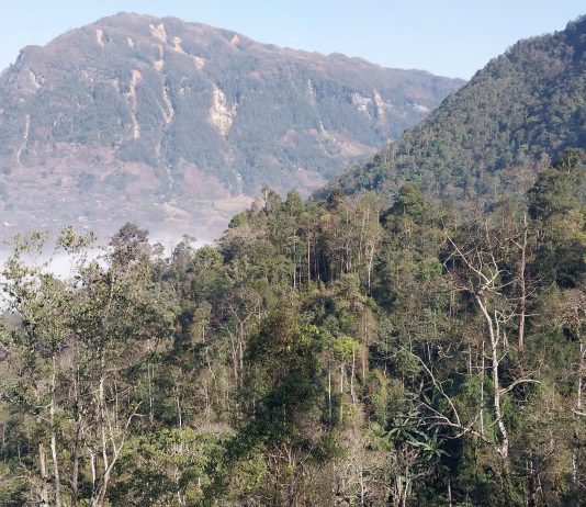 Thôn vùng cao ở Lào Cai, trước chìm trong hoa anh túc nay trồng lúa, ngô, cây ăn quả mà giảm nghèo làm giàu