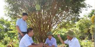 Mô hình mới là động lực giúp nông dân một huyện ở Hà Giang nâng cao thu nhập, giảm nghèo bền vững