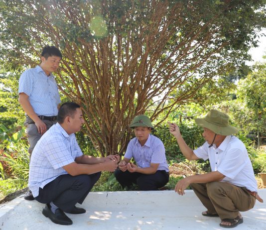 Mô hình mới là động lực giúp nông dân một huyện ở Hà Giang nâng cao thu nhập, giảm nghèo bền vững