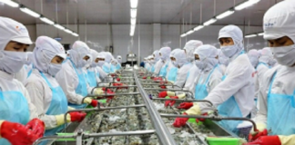 Nông, thủy sản Việt gặp khó với thuế đối ứng 20% của Mỹ