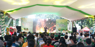 Phát triển cây đàn hương – hướng đi bền vững cho Tây Nguyên