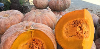 6 loại rau củ quả có dư lượng thuốc trừ sâu thấp