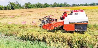 Từ quốc gia thiếu đói đến cường quốc nông sản