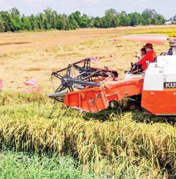 Từ quốc gia thiếu đói đến cường quốc nông sản