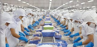 Xuất khẩu thuỷ sản 7 tháng đầu năm tăng trưởng tích cực