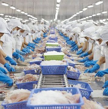 Xuất khẩu thuỷ sản 7 tháng đầu năm tăng trưởng tích cực