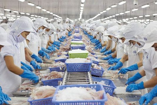 Xuất khẩu thuỷ sản 7 tháng đầu năm tăng trưởng tích cực