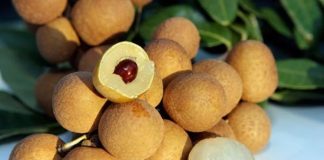 “3 không” khi ăn nhãn tránh kẻo rước họa