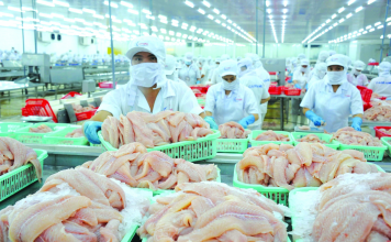 Cá tra Việt Nam xuất hiện trong thực đơn Nhật