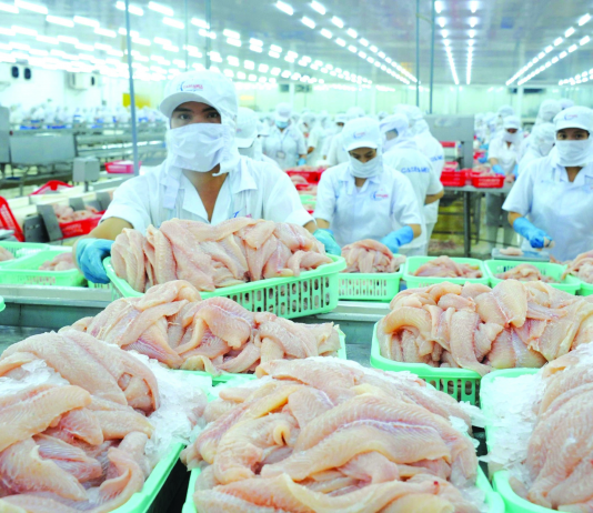 Cá tra Việt Nam xuất hiện trong thực đơn Nhật