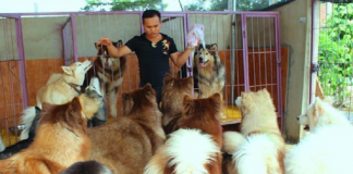 Thực phẩm bẩn: Trách nhiệm thuộc về ai?