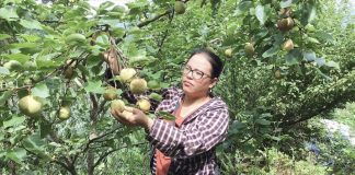 Đánh thức khát vọng làm giàu