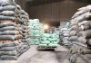 Đấu thầu thành công 200.000 tấn gạo dự trữ quốc gia năm 2025