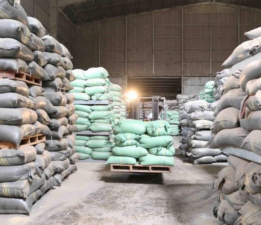 Đấu thầu thành công 200.000 tấn gạo dự trữ quốc gia năm 2025