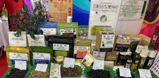 Gia Lai đẩy mạnh xuất khẩu nông sản tại CAEXPO 2025