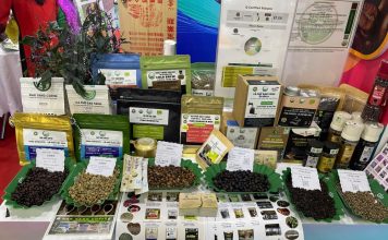 Gia Lai đẩy mạnh xuất khẩu nông sản tại CAEXPO 2025