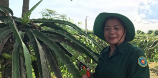 Làm giàu ở nông thôn: Biến đất bỏ hoang thành gia trang tiền tỷ