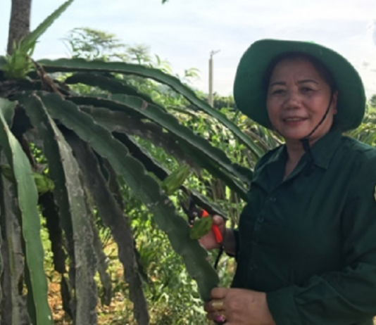 Làm giàu ở nông thôn: Biến đất bỏ hoang thành gia trang tiền tỷ