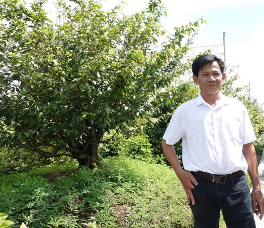 Lão nông tỷ phú Cần Thơ làm giàu từ lúa giống và chuyện giúp người ai cũng nể