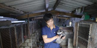 Người dân hé lộ cách nuôi động vật hoang dã quý hiếm để làm giàu