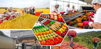Những nông sản Việt Nam xuất khẩu nhiều nhất sang ASEAN