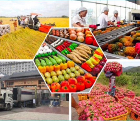 Những nông sản Việt Nam xuất khẩu nhiều nhất sang ASEAN