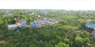 Nông dân Bách Thuận vươn lên làm giàu từ kinh tế vườn