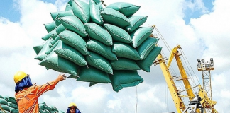 Nông sản cần một tấm hộ chiếu uy tín