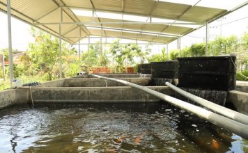 “Rời tay súng, chắc tay nghề” làm giàu trên miền quê Hà Tĩnh