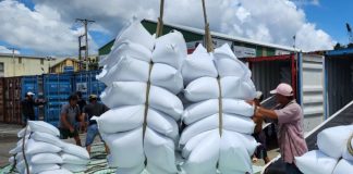 Tăng giải pháp thúc đẩy sản xuất, xuất khẩu, ổn định thị trường gạo