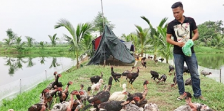 Thanh niên Hải Phòng vươn lên làm giàu