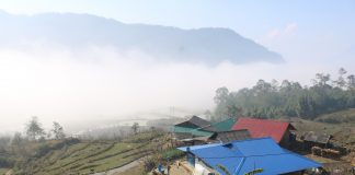 Thôn vùng cao ở Lào Cai, trước chìm trong hoa anh túc nay trồng lúa, ngô, cây ăn quả mà giảm nghèo làm giàu