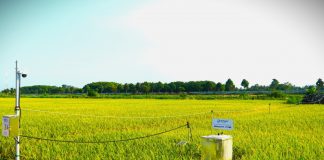 Công nghệ và chuyển đổi số nông nghiệp chưa bùng nổ