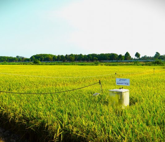 Công nghệ và chuyển đổi số nông nghiệp chưa bùng nổ