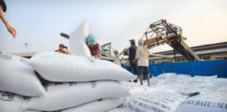 Việt Nam đã xuất khẩu gần 5,9 triệu tấn gạo