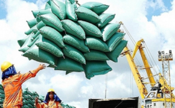 Xuất khẩu gạo Việt Nam chững lại vì Philippines tạm ngừng nhập khẩu