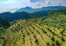 Hướng đi mới cho nông nghiệp địa phương